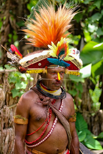 The Huli Wigmen Of Papua New Guinea South Sea Horizons