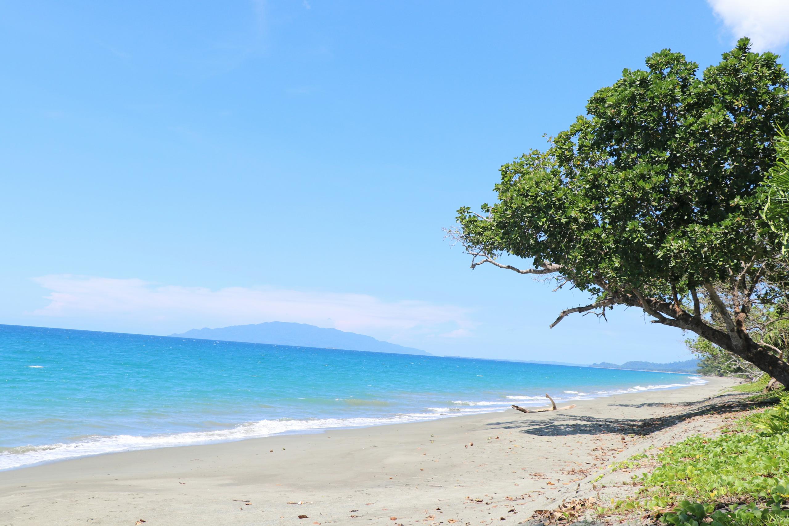 getting to papua new guinea 